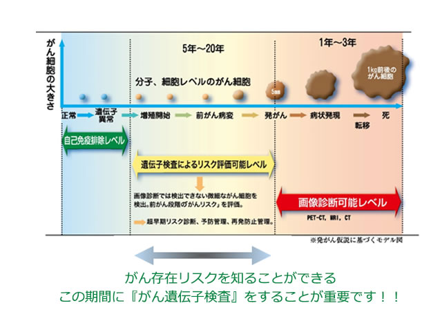 Cancer Genetic Test – Eri Clinic Omotesando イメージ